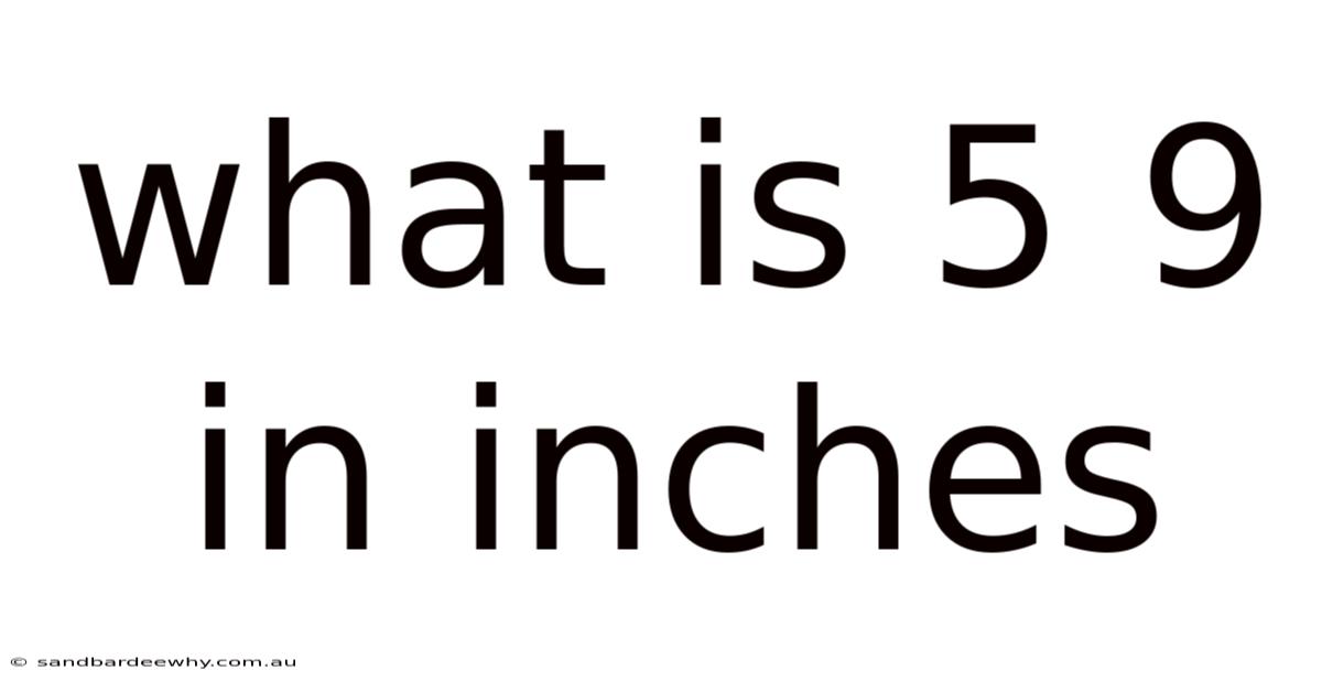 What Is 5 9 In Inches