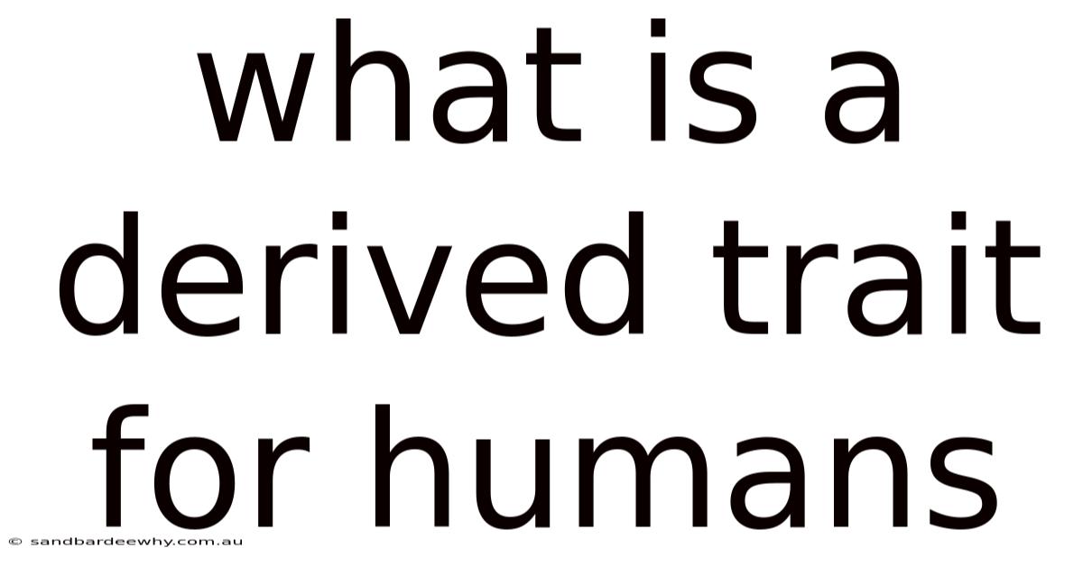 What Is A Derived Trait For Humans