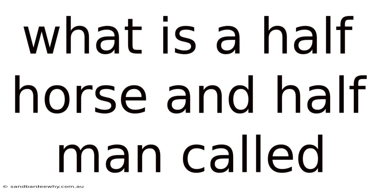 What Is A Half Horse And Half Man Called