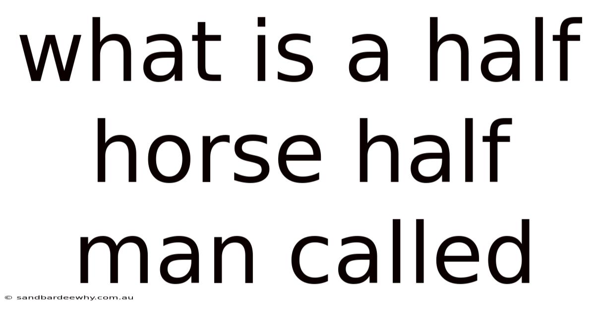 What Is A Half Horse Half Man Called