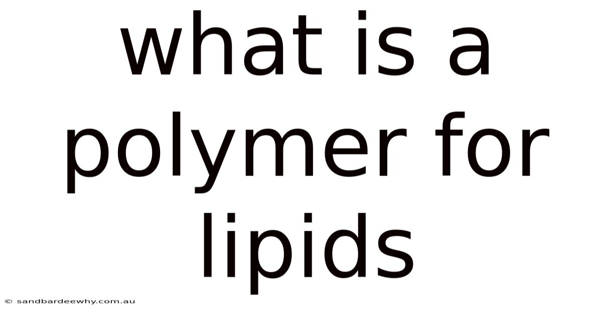 What Is A Polymer For Lipids