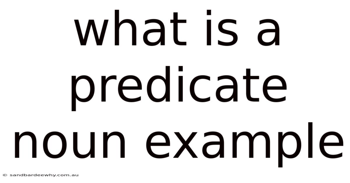 What Is A Predicate Noun Example