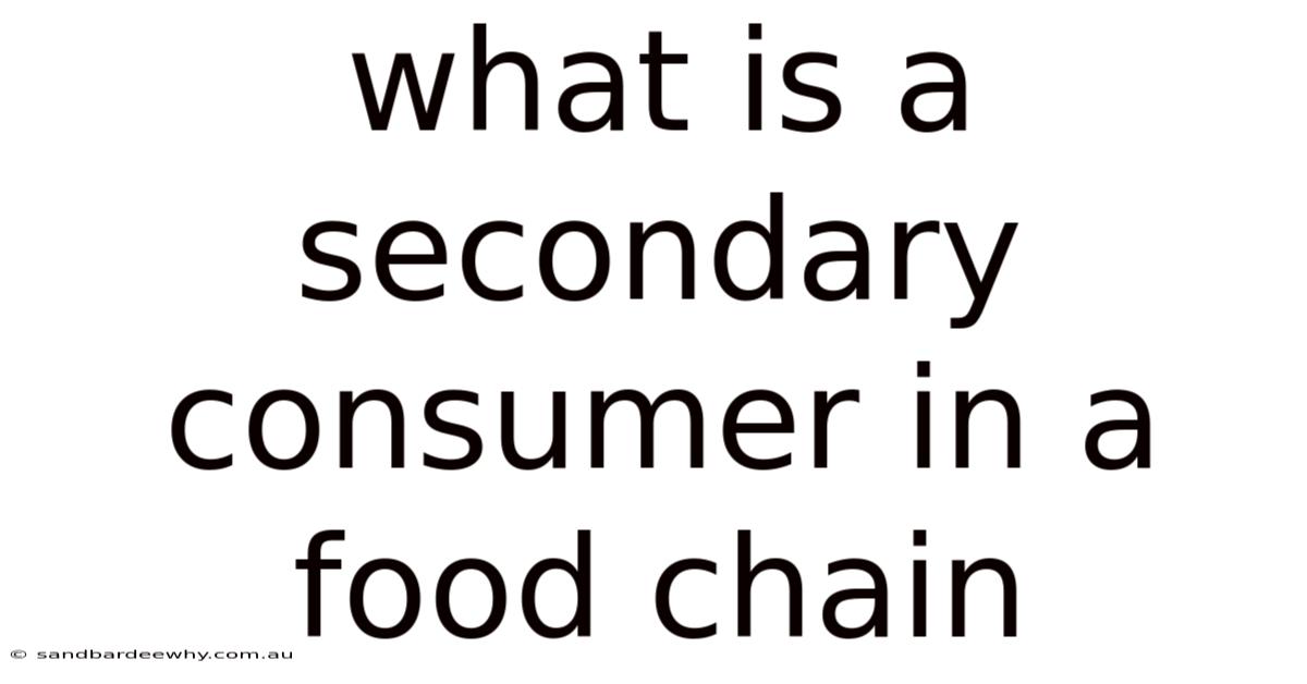 What Is A Secondary Consumer In A Food Chain