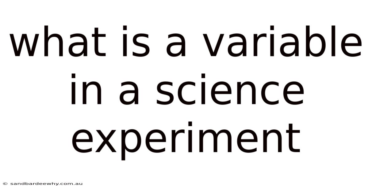 What Is A Variable In A Science Experiment