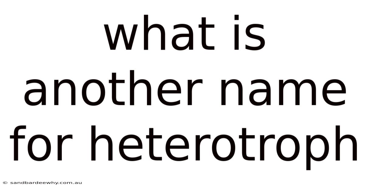 What Is Another Name For Heterotroph
