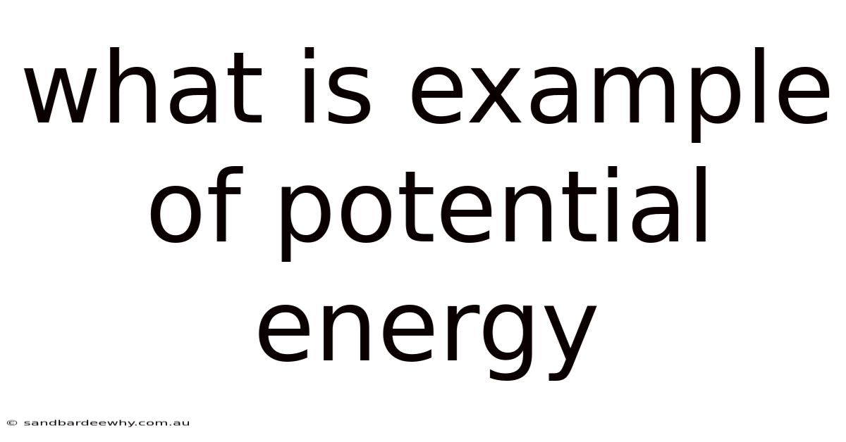 What Is Example Of Potential Energy
