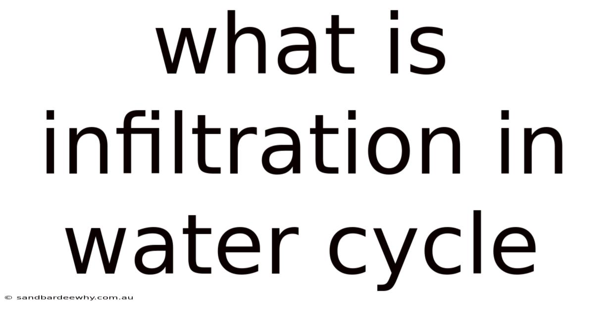 What Is Infiltration In Water Cycle