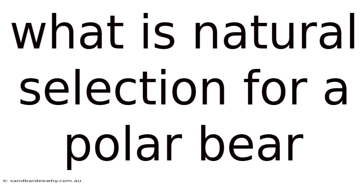 What Is Natural Selection For A Polar Bear