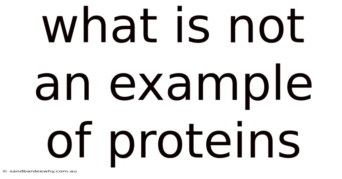 What Is Not An Example Of Proteins