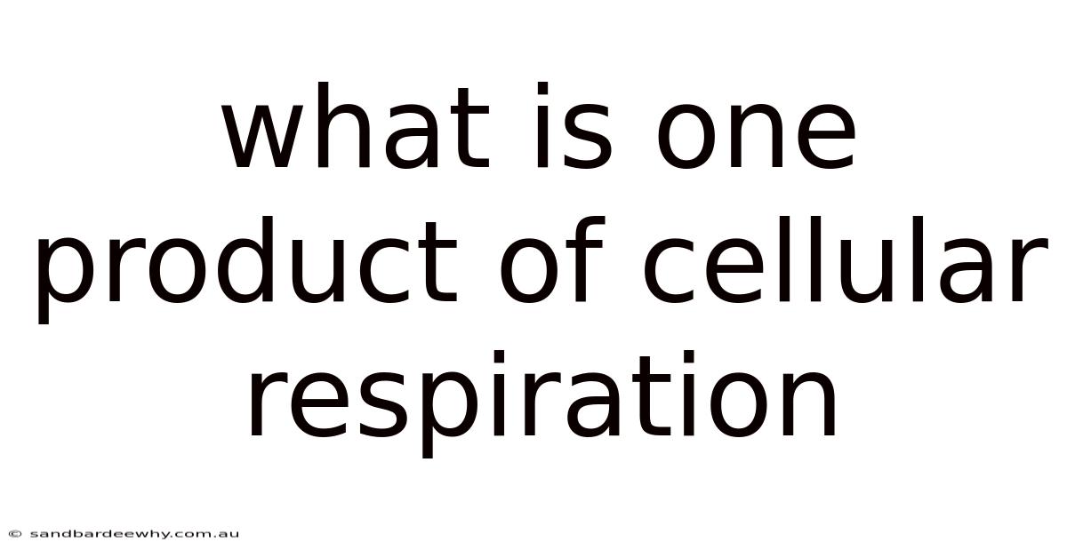 What Is One Product Of Cellular Respiration