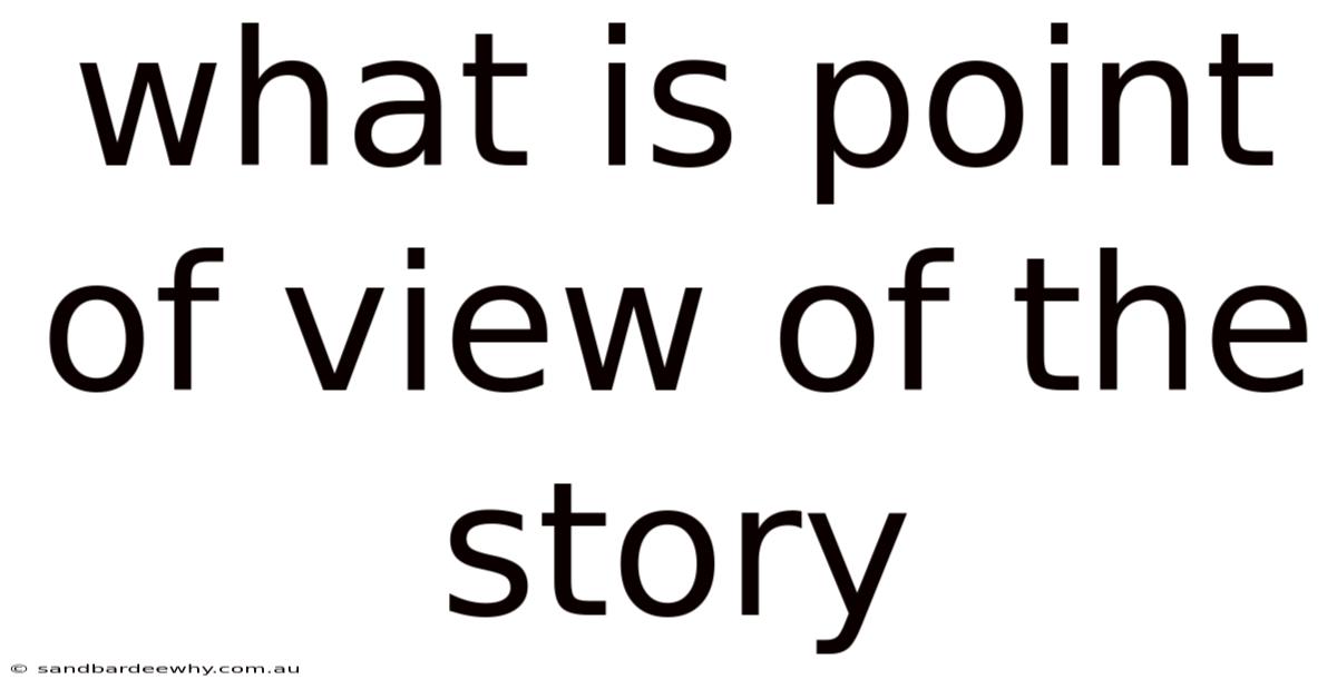 What Is Point Of View Of The Story