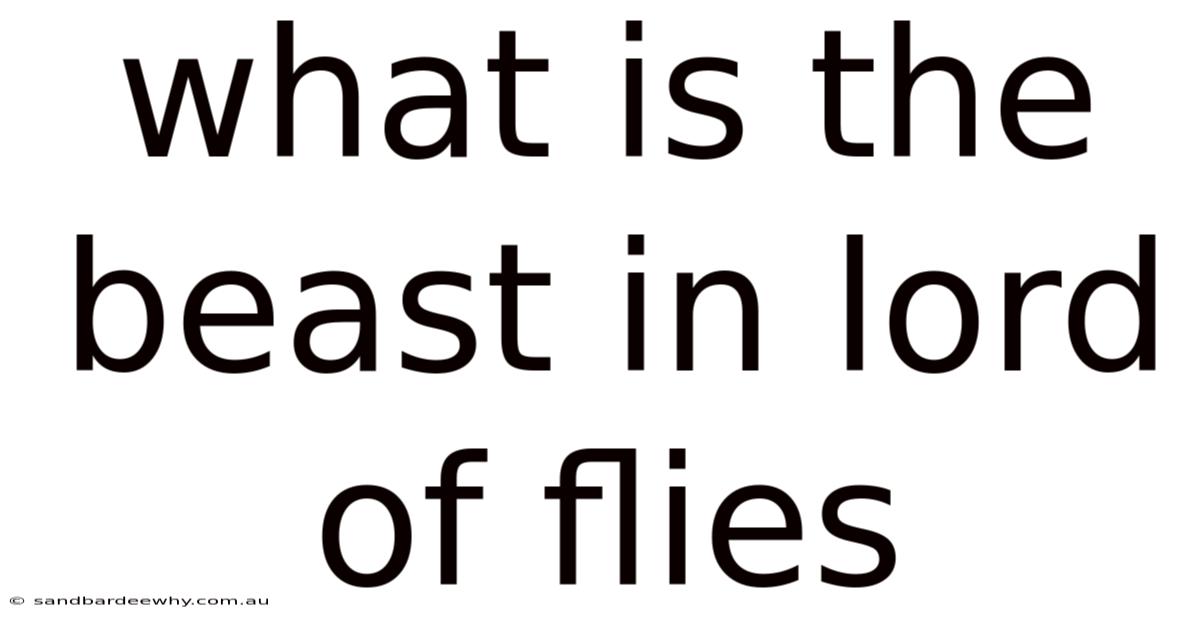 What Is The Beast In Lord Of Flies