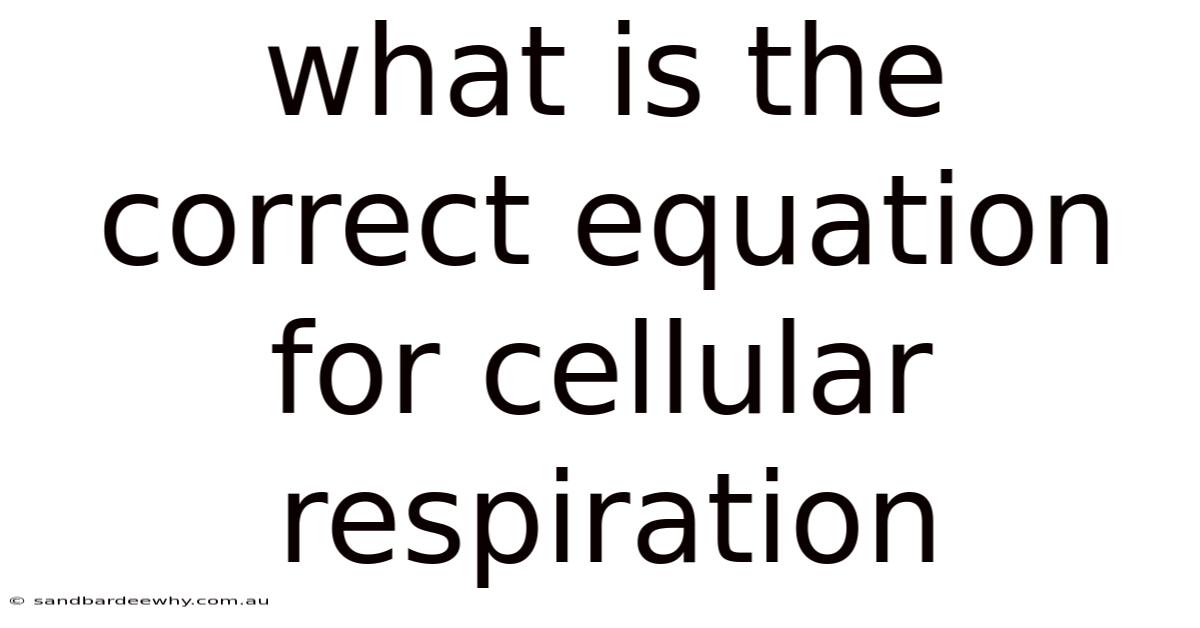 What Is The Correct Equation For Cellular Respiration