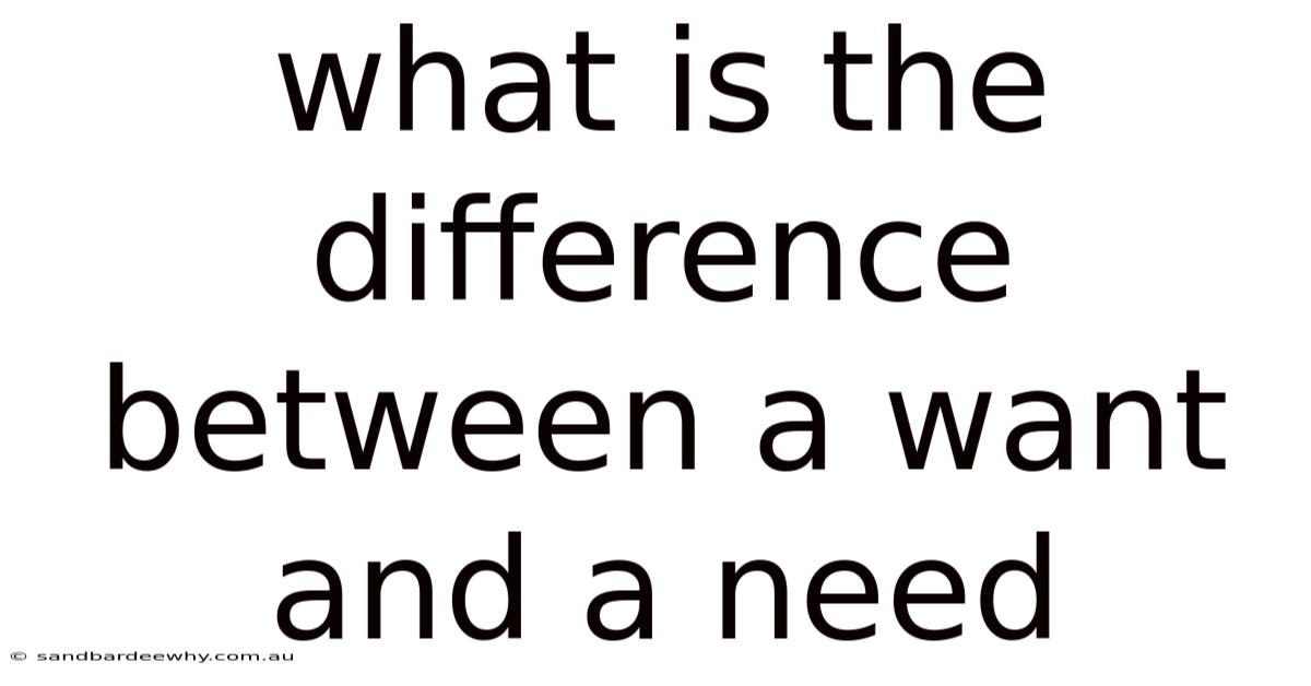 What Is The Difference Between A Want And A Need