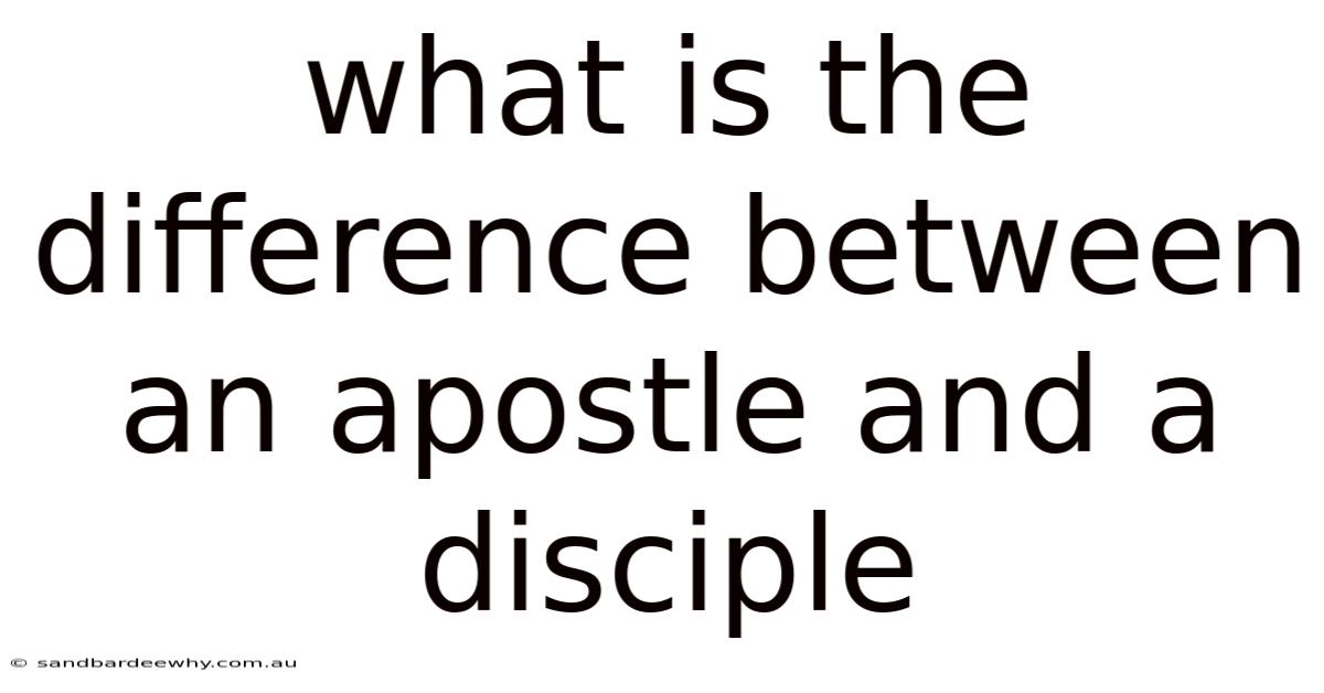 What Is The Difference Between An Apostle And A Disciple