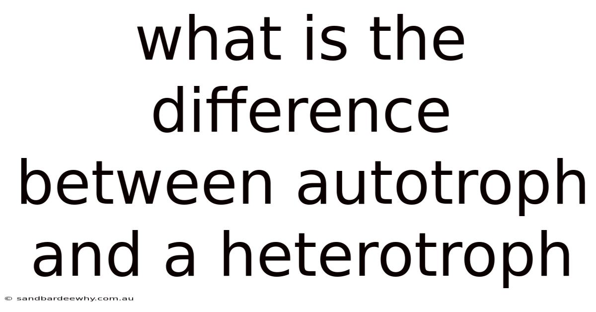 What Is The Difference Between Autotroph And A Heterotroph