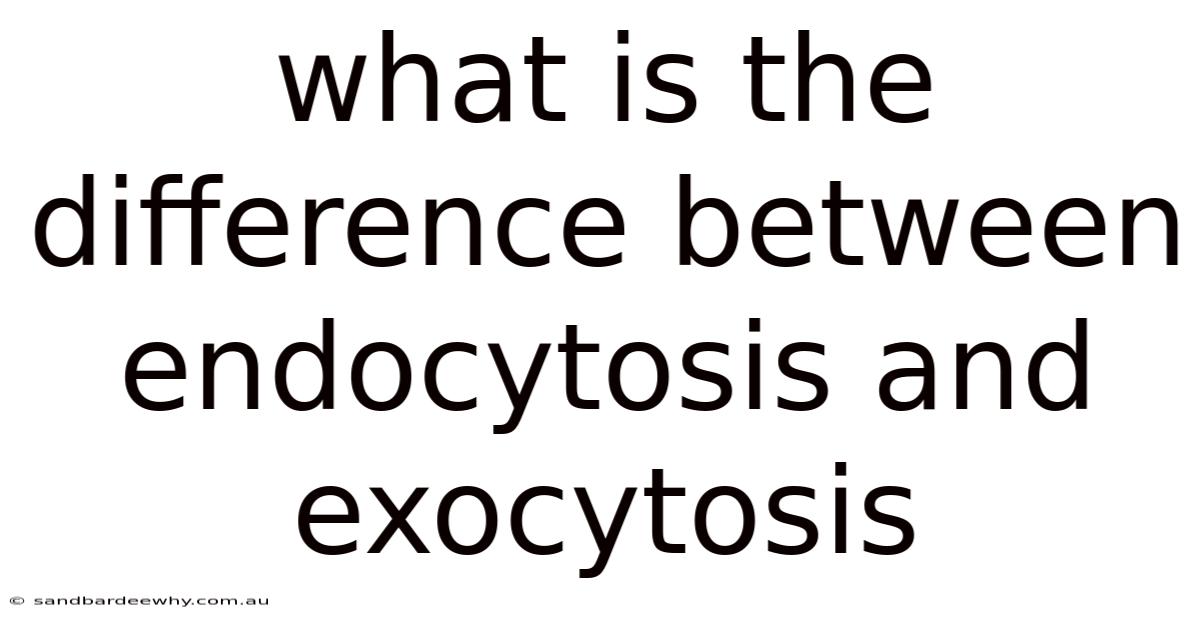 What Is The Difference Between Endocytosis And Exocytosis