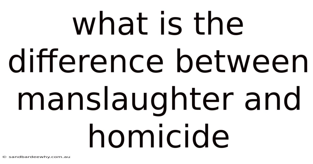 What Is The Difference Between Manslaughter And Homicide