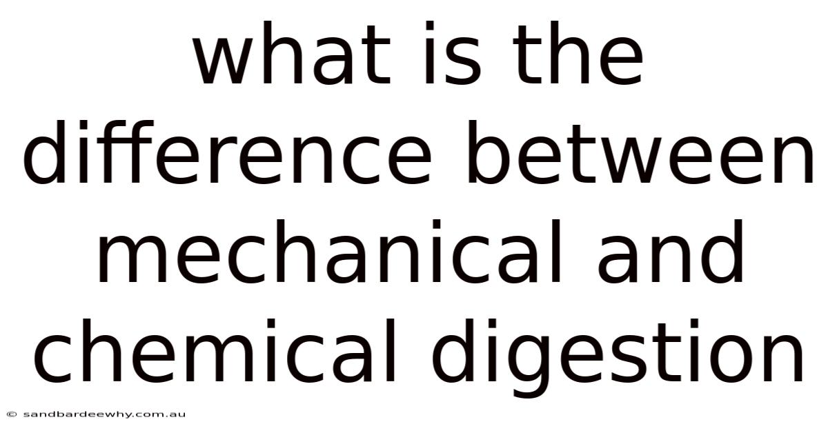 What Is The Difference Between Mechanical And Chemical Digestion