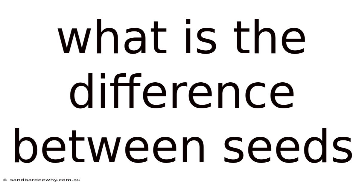 What Is The Difference Between Seeds