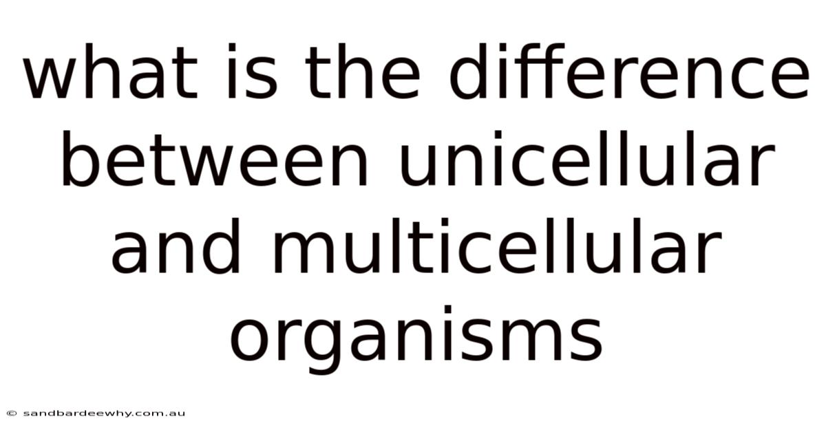 What Is The Difference Between Unicellular And Multicellular Organisms