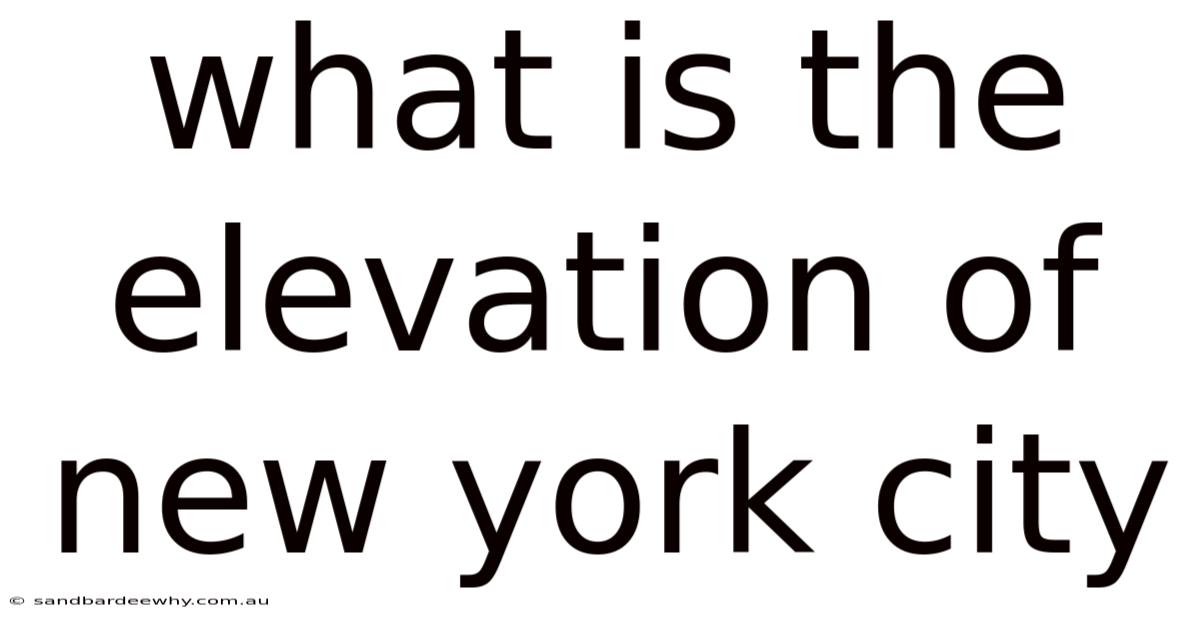 What Is The Elevation Of New York City