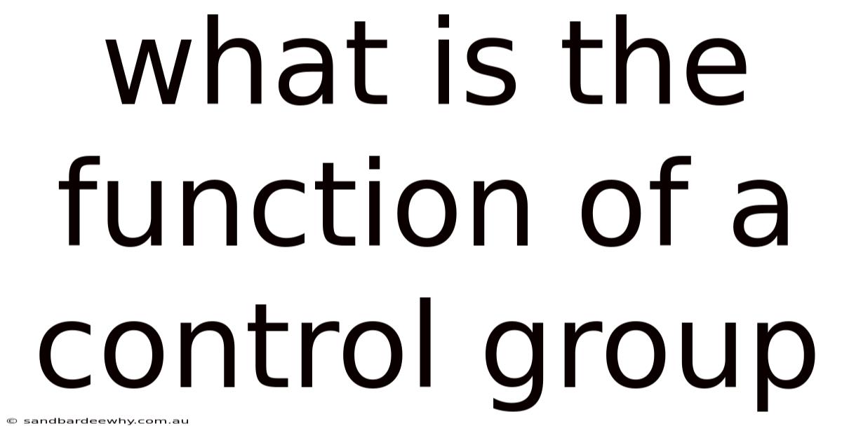 What Is The Function Of A Control Group