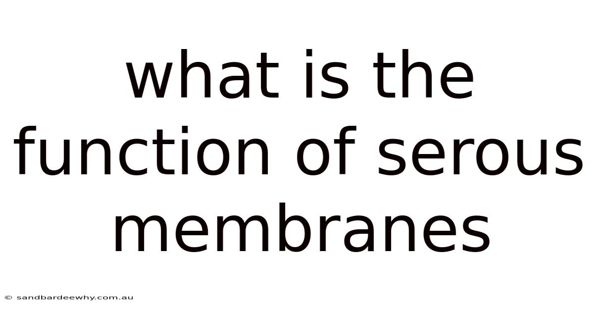 What Is The Function Of Serous Membranes