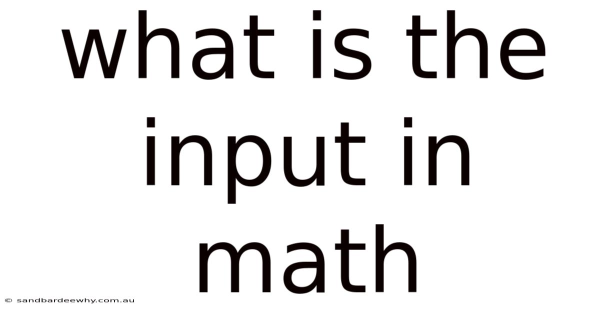 What Is The Input In Math