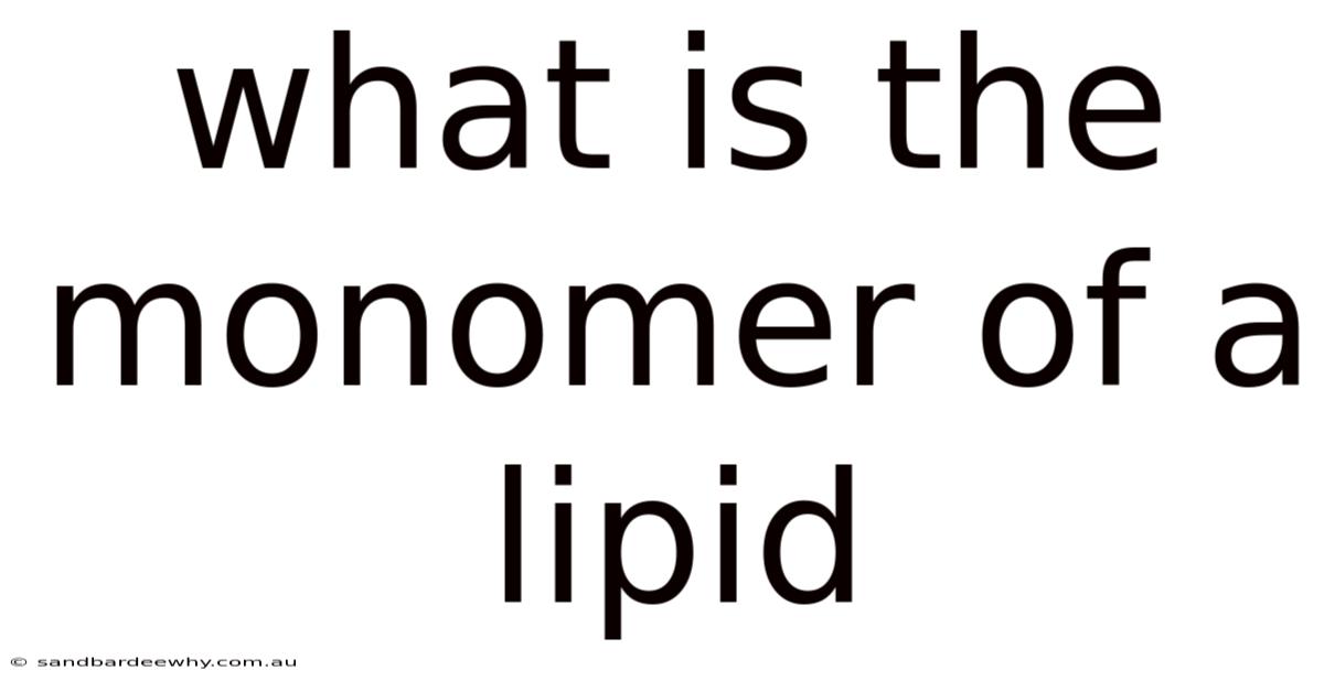 What Is The Monomer Of A Lipid