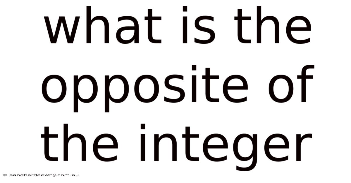 What Is The Opposite Of The Integer