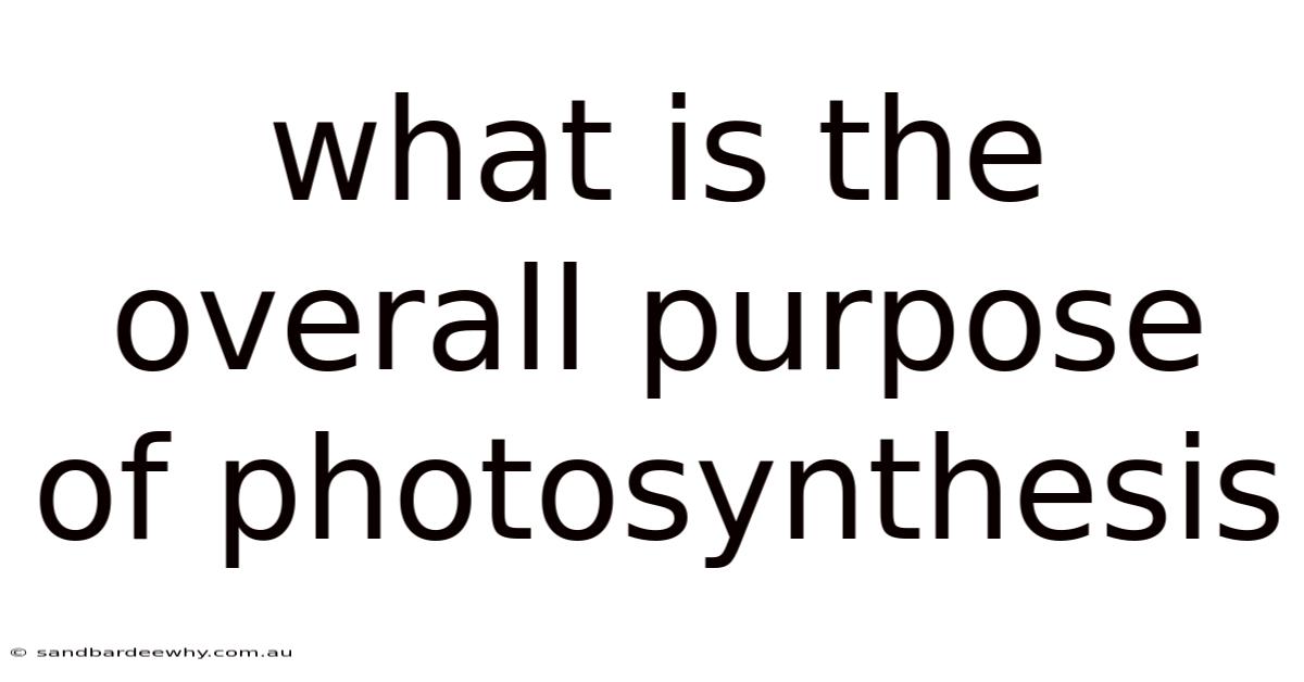 What Is The Overall Purpose Of Photosynthesis