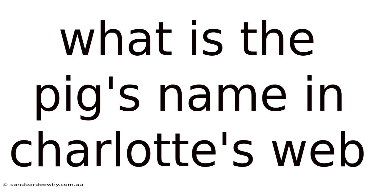 What Is The Pig's Name In Charlotte's Web