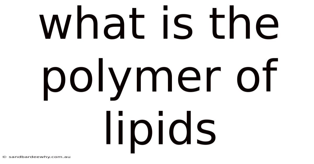What Is The Polymer Of Lipids