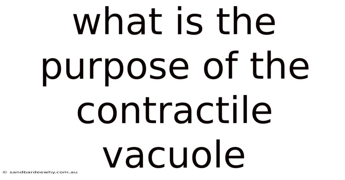 What Is The Purpose Of The Contractile Vacuole