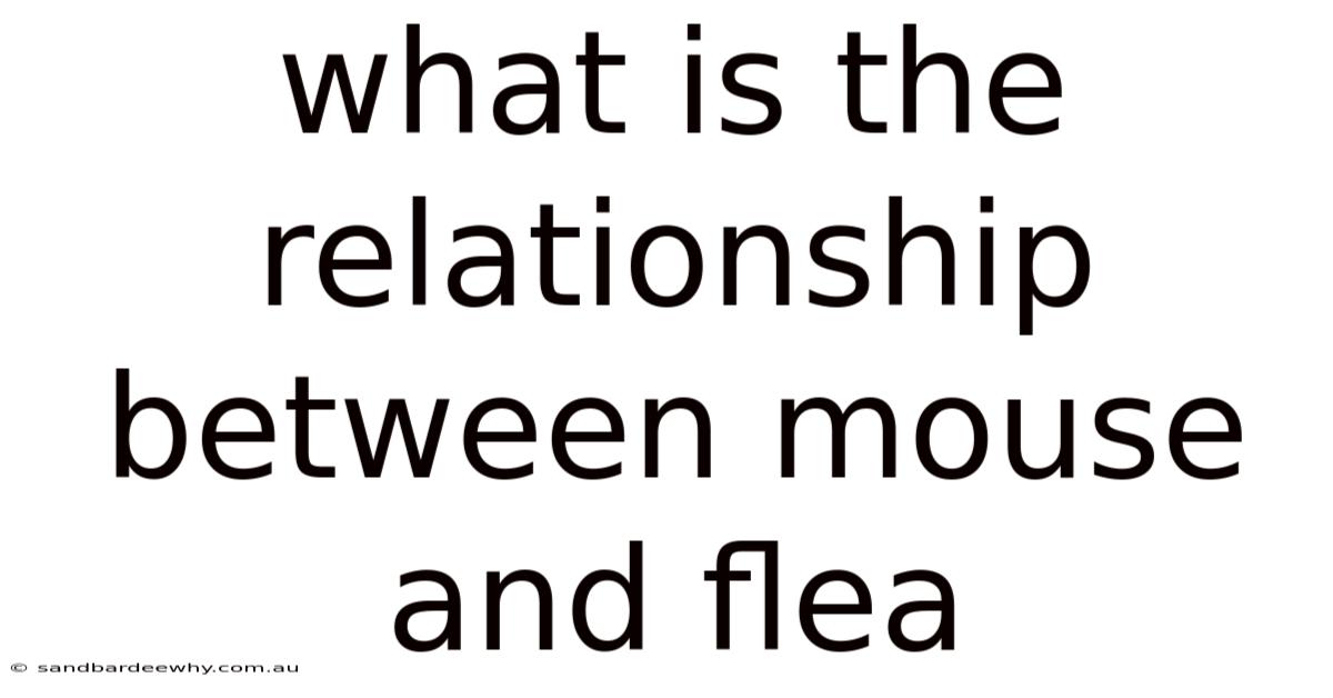 What Is The Relationship Between Mouse And Flea