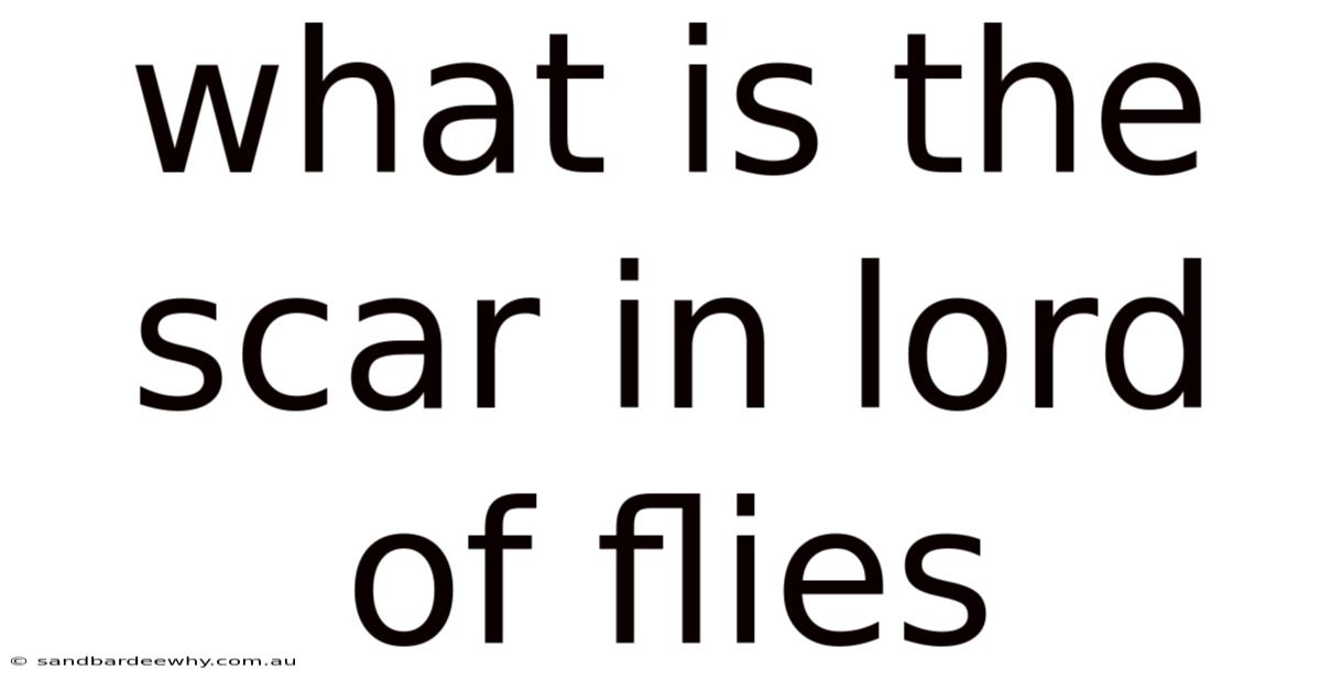 What Is The Scar In Lord Of Flies