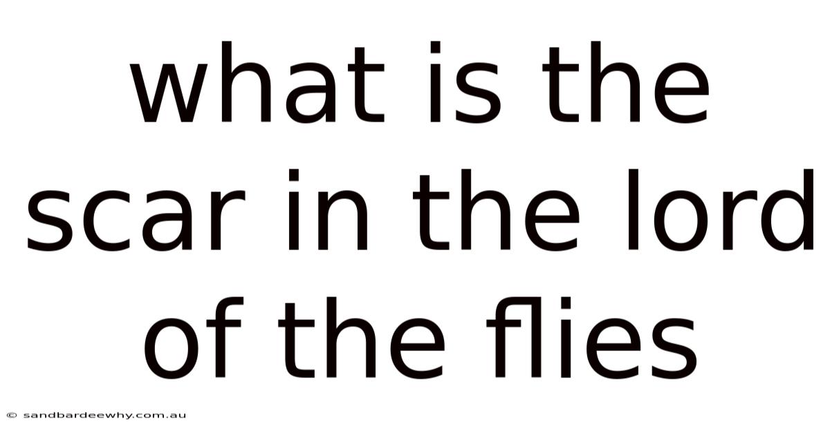 What Is The Scar In The Lord Of The Flies