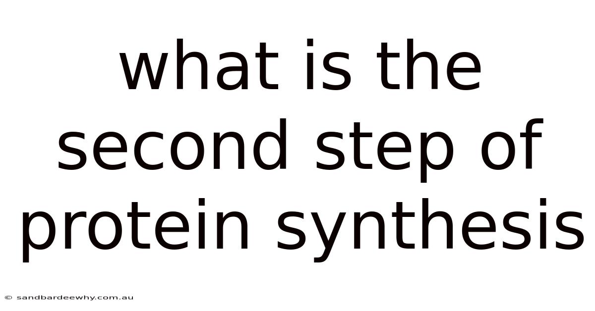 What Is The Second Step Of Protein Synthesis