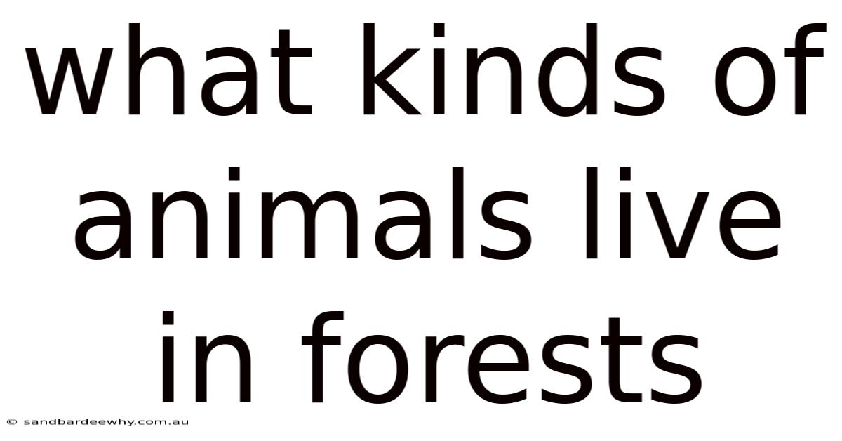 What Kinds Of Animals Live In Forests