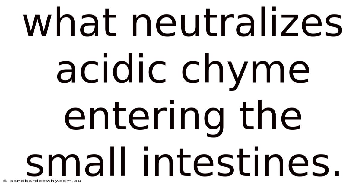 What Neutralizes Acidic Chyme Entering The Small Intestines.
