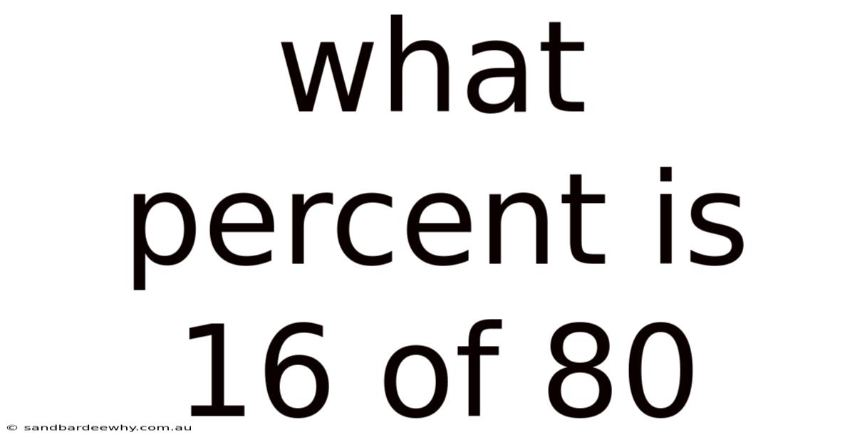 What Percent Is 16 Of 80