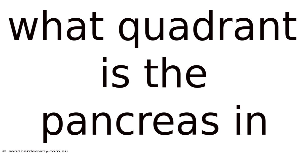 What Quadrant Is The Pancreas In