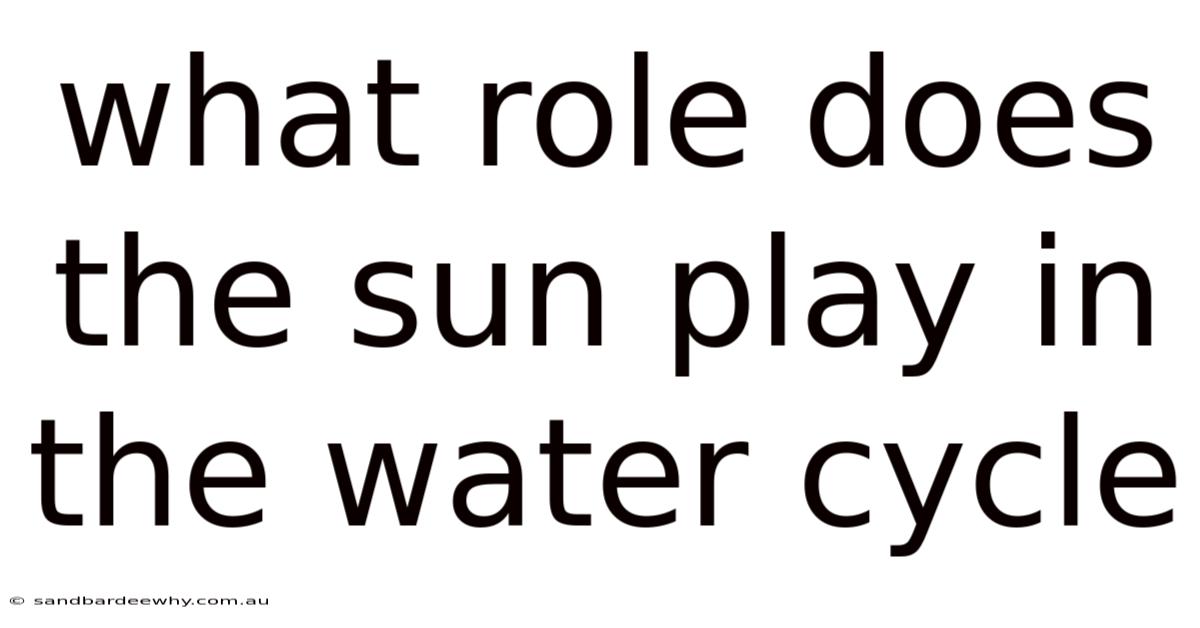 What Role Does The Sun Play In The Water Cycle