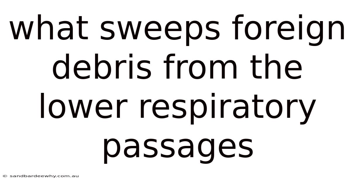 What Sweeps Foreign Debris From The Lower Respiratory Passages