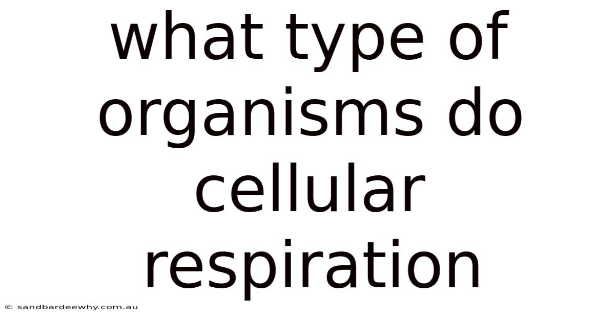 What Type Of Organisms Do Cellular Respiration