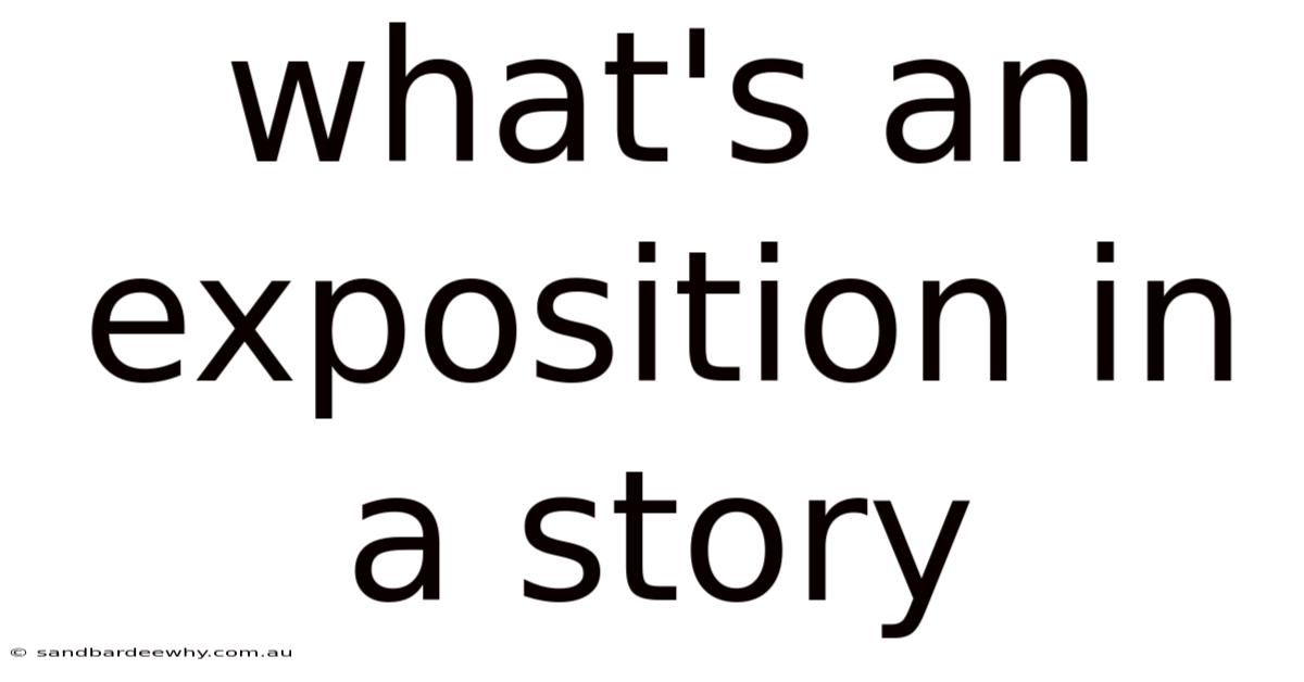 What's An Exposition In A Story