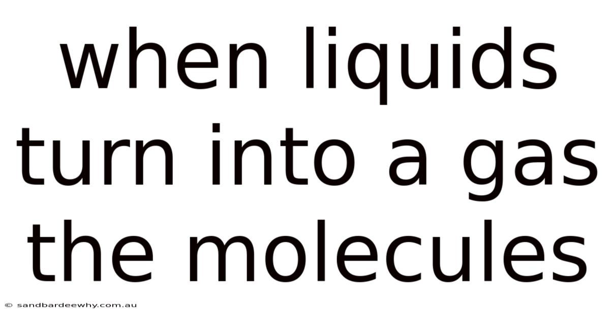 When Liquids Turn Into A Gas The Molecules