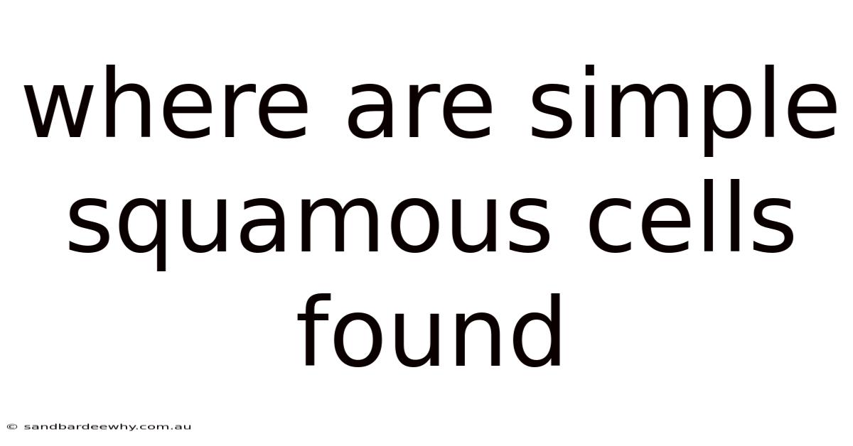 Where Are Simple Squamous Cells Found