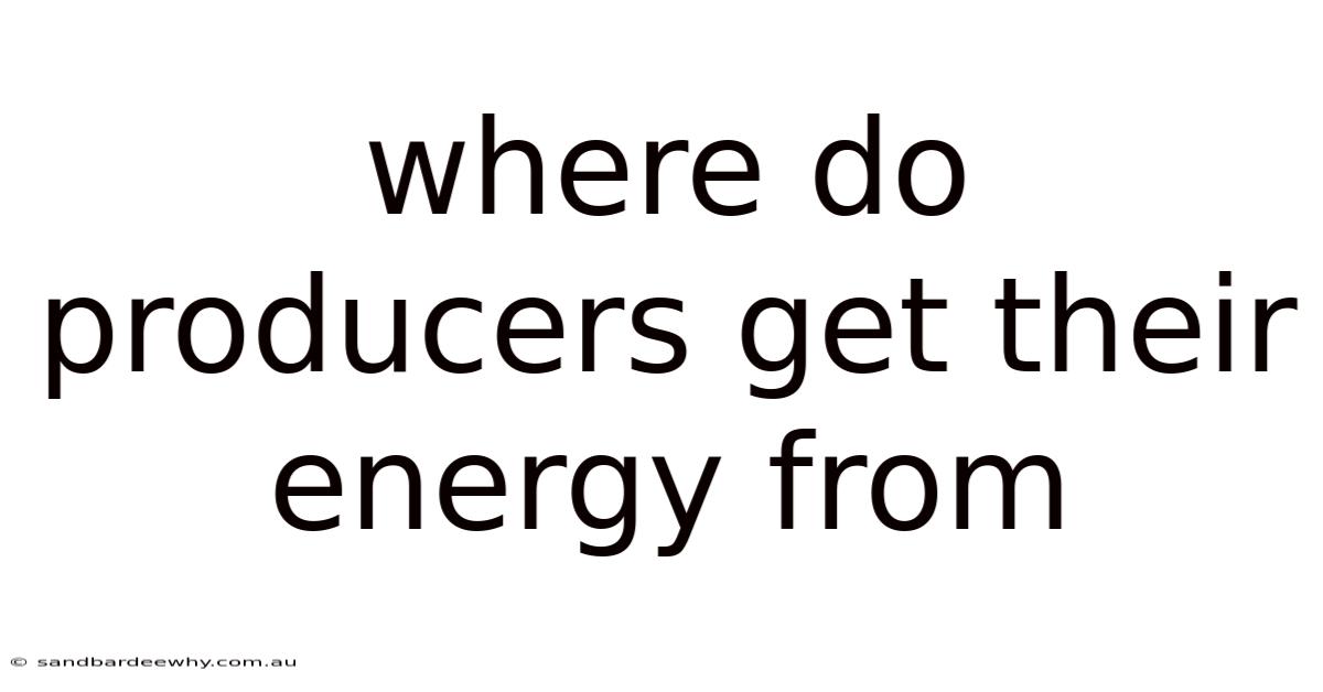 Where Do Producers Get Their Energy From
